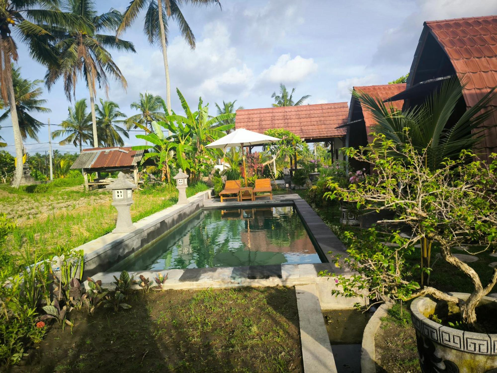 Eling Ubud Guesthouse Exteriör bild